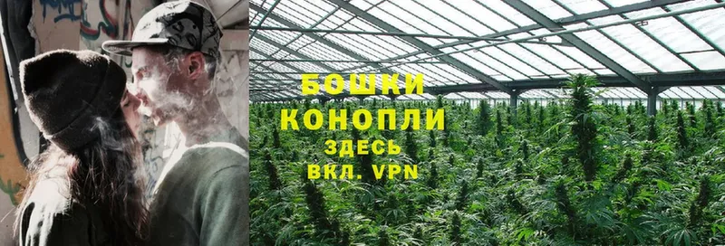 МАРИХУАНА SATIVA & INDICA  Высоцк 